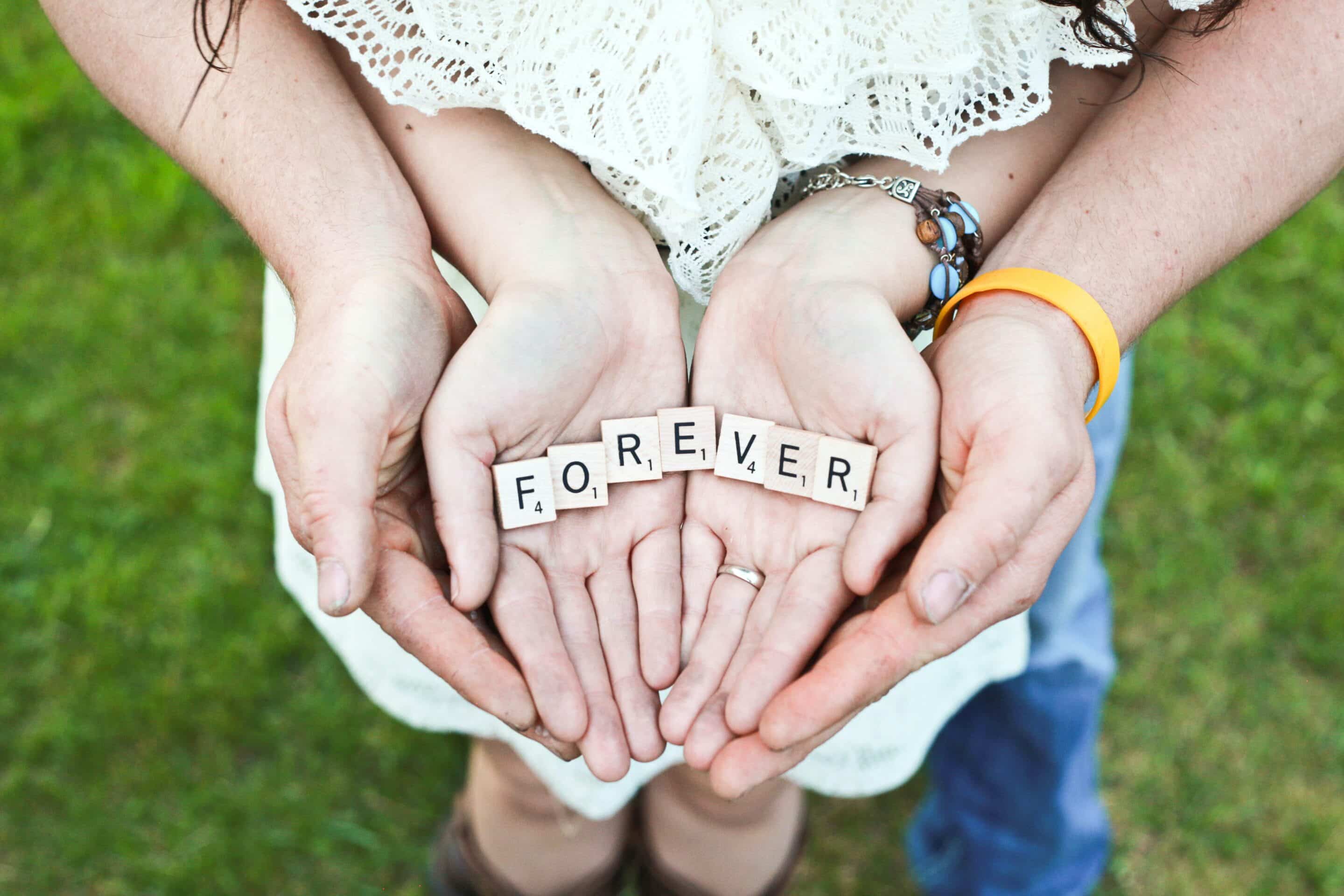 wedding speech website