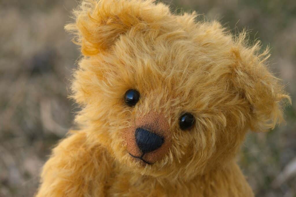 wedding speech prop teddy